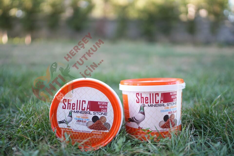 ShellCA Mineral Stone Doğal Güvercin Minerali 5 Kg Kova Taşlık İçin Renkli Güvercin Kumu