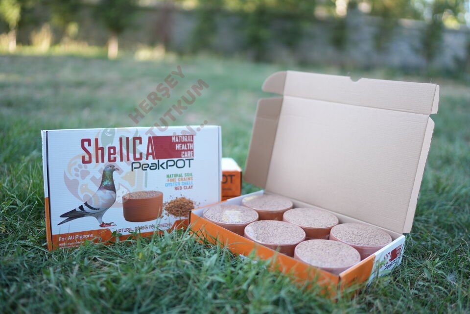 ShellCA NATURAL HEALTH CARE Shellca Peakpot 6'lı Paket Güvercinler için Pikpot 500g