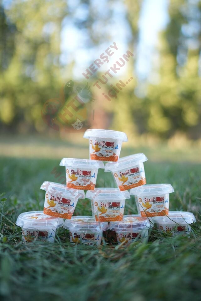 ShellCA NATURAL HEALTH CARE BeakSTONE KUŞLAR İÇİN GAGATAŞI MİNERAL BLOK 100G