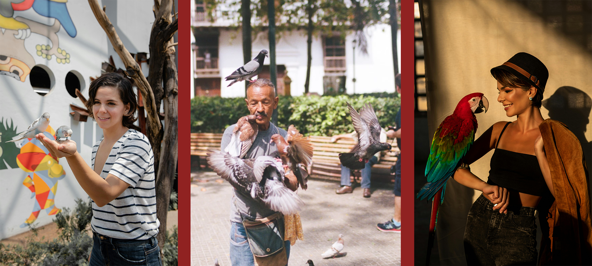 KUŞLARINIZ İÇİN...