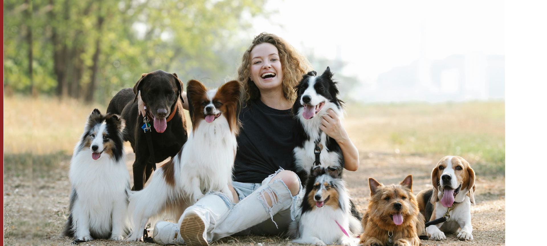 KÖPEKLERİNİZ İÇİN...
